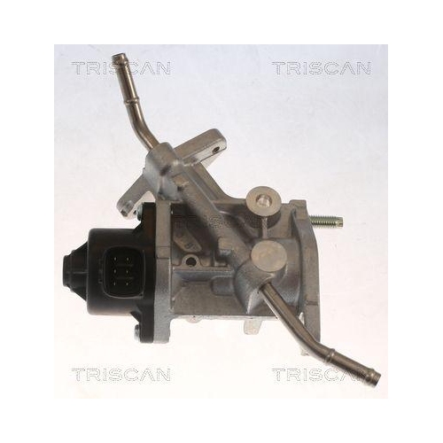 AGR-Ventil TRISCAN 8813 13068 für TOYOTA