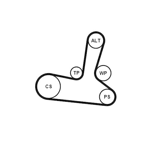 Keilrippenriemensatz CONTINENTAL CTAM 5PK1300K1