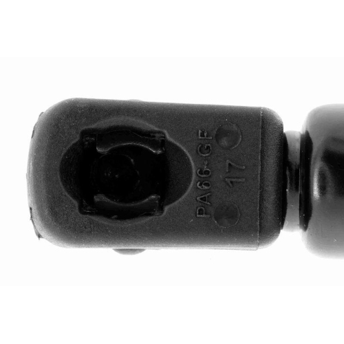 Gasfeder, Koffer-/Laderaum VAICO V10-2081 Original VAICO Qualität für AUDI SEAT