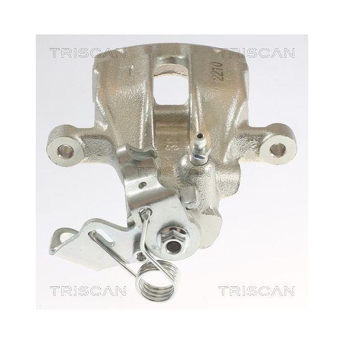 Bremssattel TRISCAN 8175 10201 für AUDI FORD SEAT SKODA VW, Hinterachse links