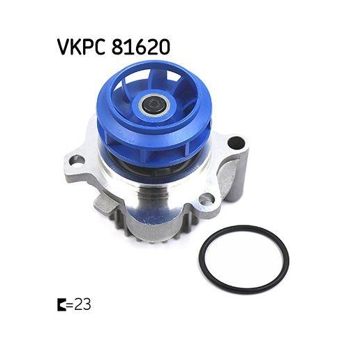 Wasserpumpe, Motorkühlung SKF VKPC 81620 für AUDI SEAT SKODA VW