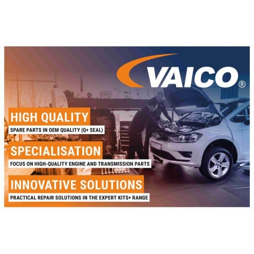 Enteiser VAICO V60-0139 Original VAICO Qualität für