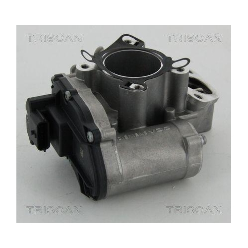 AGR-Ventil TRISCAN 8813 24039 für NISSAN OPEL RENAULT VAUXHALL