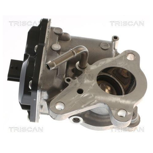 AGR-Ventil TRISCAN 8813 10116 für NISSAN OPEL RENAULT VAUXHALL