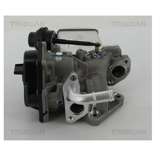 AGR-Ventil TRISCAN 8813 29303 für AUDI VW