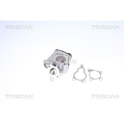 AGR-Ventil TRISCAN 8813 14025 für NISSAN