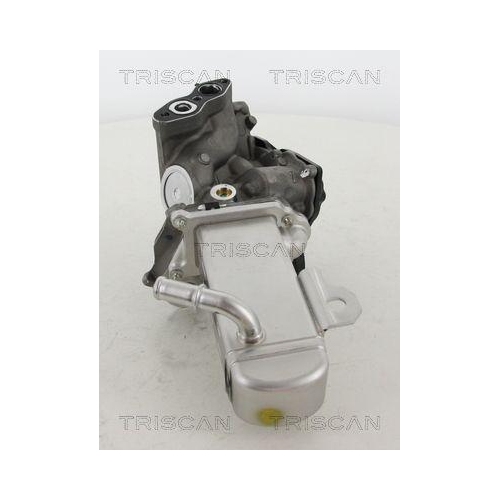 AGR-Ventil TRISCAN 8813 16014 für CITROËN FIAT FORD PEUGEOT VOLVO