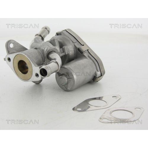 AGR-Ventil TRISCAN 8813 16100 für FORD