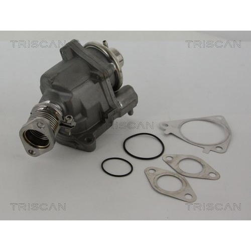 AGR-Ventil TRISCAN 8813 28019 für CITROËN FIAT IVECO PEUGEOT