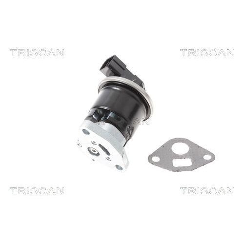 AGR-Ventil TRISCAN 8813 40013 für HONDA