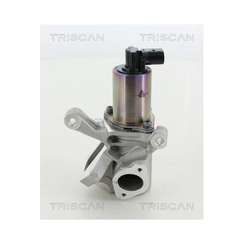 AGR-Ventil TRISCAN 8813 44009 für SSANGYONG