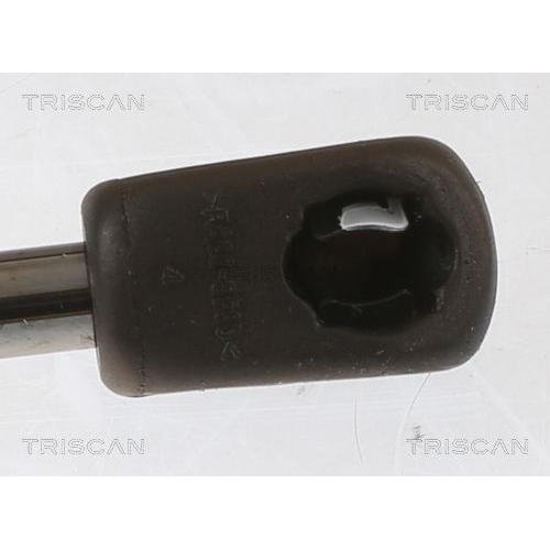 Gasfeder, Koffer-/Laderaum TRISCAN 8710 67205 für SKODA