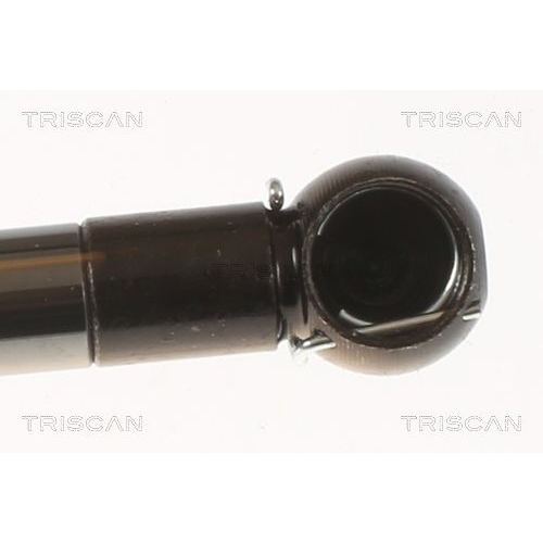 Gasfeder, Koffer-/Laderaum TRISCAN 8710 50214 für MAZDA, links