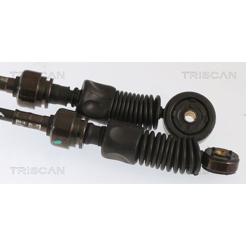 Seilzug, Schaltgetriebe TRISCAN 8140 43704 für HYUNDAI