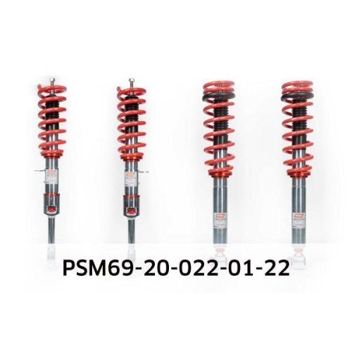 Fahrwerkssatz, Federn/Dämpfer EIBACH PSM69-20-022-01-22 Pro-Street-Multi für