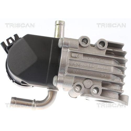 AGR-Ventil TRISCAN 8813 11011 für BMW