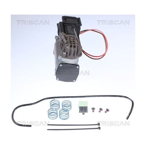 Kompressor, Druckluftanlage TRISCAN 8725 11101 für BMW