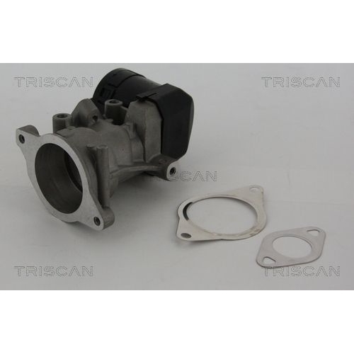 AGR-Ventil TRISCAN 8813 10001 für CITROËN FIAT FORD LANCIA PEUGEOT VOLVO