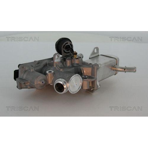 AGR-Ventil TRISCAN 8813 25013 für RENAULT