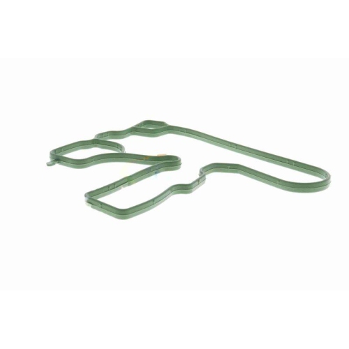 Dichtung, Kurbelgehäuseentlüftung VAICO V10-3884 Green Mobility Parts für SEAT