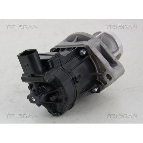 AGR-Ventil TRISCAN 8813 10214 für CHRYSLER FIAT