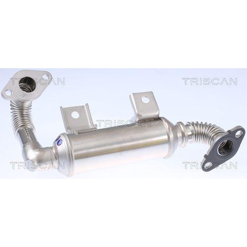 Kühler, Abgasrückführung TRISCAN 8813 16111 für FORD