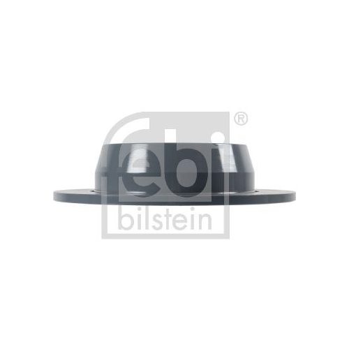 Bremsscheibe FEBI BILSTEIN 10641 für MERCEDES-BENZ, Hinterachse