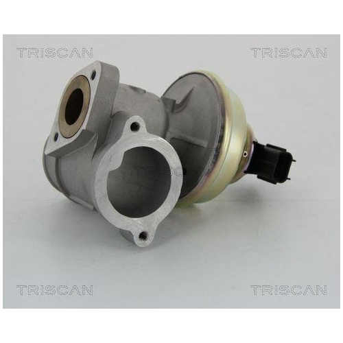 AGR-Ventil TRISCAN 8813 16102 für FORD