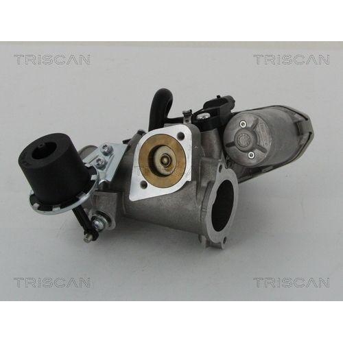 AGR-Ventil TRISCAN 8813 16202 für FORD JAGUAR