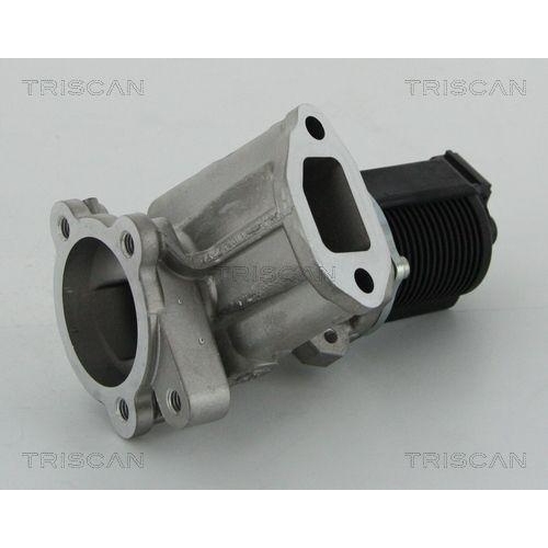 AGR-Ventil TRISCAN 8813 24204 für OPEL SUZUKI VAUXHALL