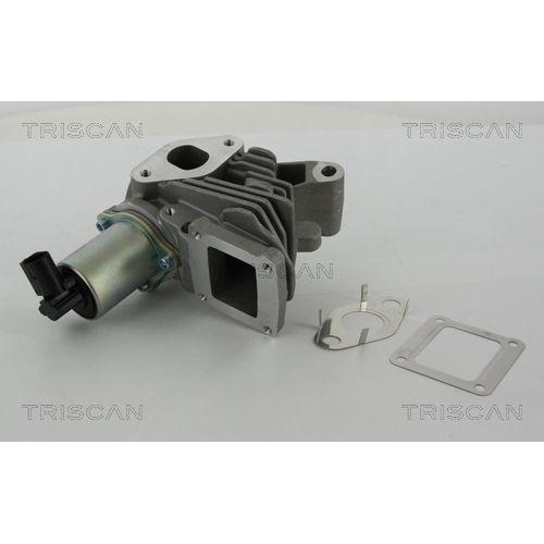 AGR-Ventil TRISCAN 8813 25100 für RENAULT