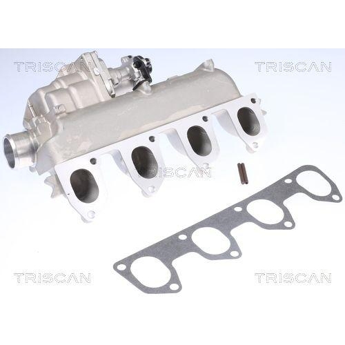 AGR-Ventil TRISCAN 8813 16160 für FORD