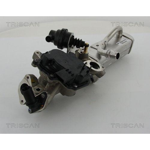 AGR-Ventil TRISCAN 8813 28044 für CITROËN PEUGEOT