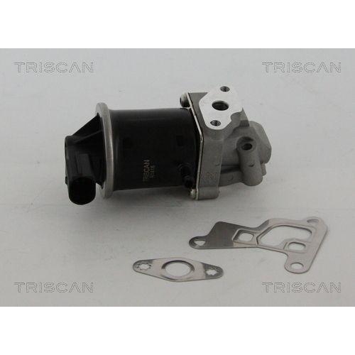 AGR-Ventil TRISCAN 8813 29100 für VW