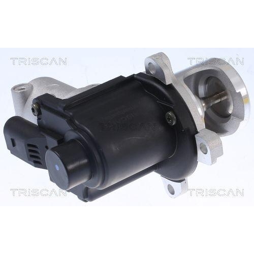 AGR-Ventil TRISCAN 8813 29015 für AUDI VW