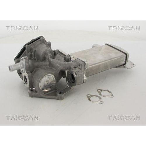 AGR-Ventil TRISCAN 8813 29305 für VW