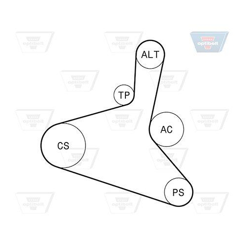 Keilrippenriemensatz OPTIBELT 6 DPK 1195KT1 Optibelt-RBK KIT für