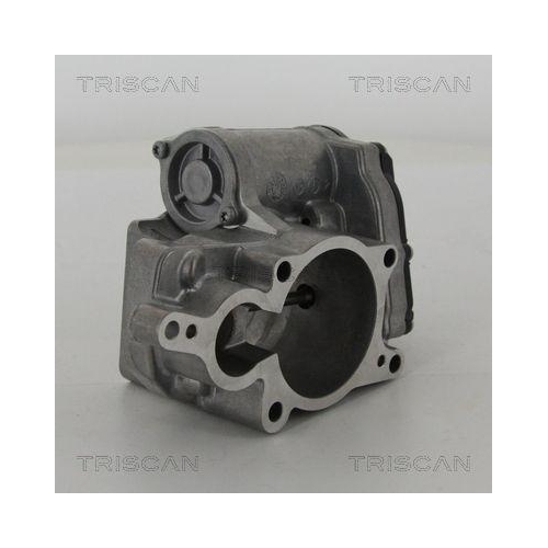 AGR-Ventil TRISCAN 8813 29311 für AUDI VW