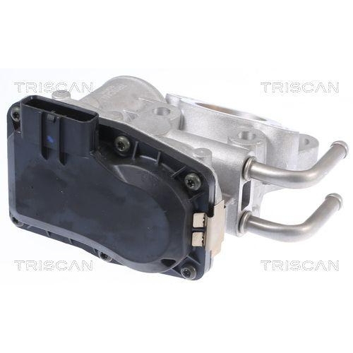 AGR-Ventil TRISCAN 8813 14010 für NISSAN