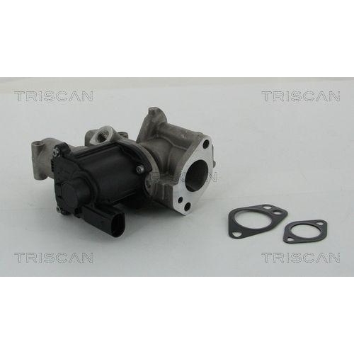 AGR-Ventil TRISCAN 8813 29312 für AUDI PORSCHE VW