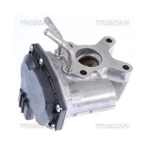 AGR-Ventil TRISCAN 8813 14015 für NISSAN