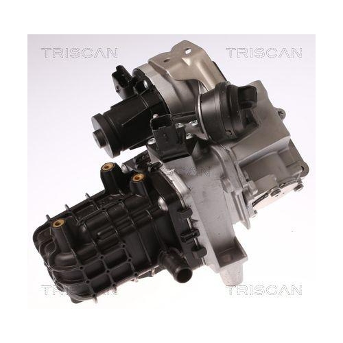 AGR-Ventil TRISCAN 8813 28046 für CITROËN FORD OPEL PEUGEOT VAUXHALL