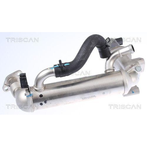 AGR-Ventil TRISCAN 8813 43041 für HYUNDAI KIA