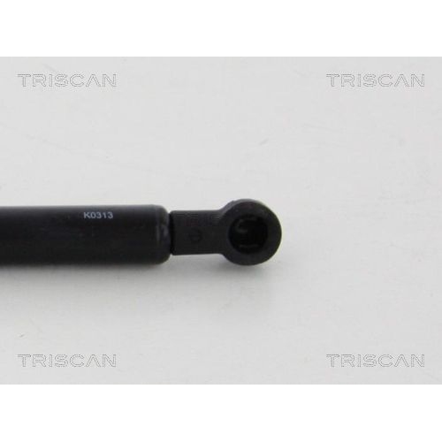 Gasfeder, Verdeck TRISCAN 8710 38242 für CITROËN