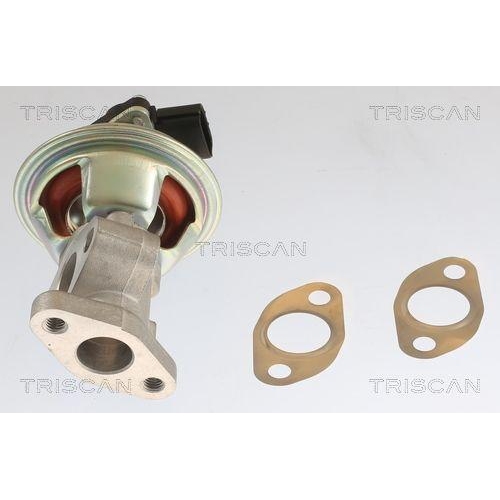 AGR-Ventil TRISCAN 8813 10054 für MAZDA FORD USA