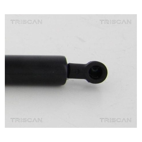 Gasfeder, Verdeck TRISCAN 8710 38243 für CITROËN