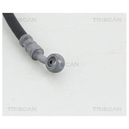 Bremsschlauch TRISCAN 8150 14108 für NISSAN, Vorderachse