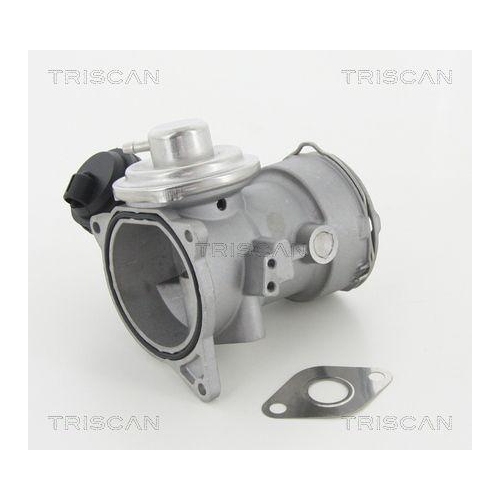 AGR-Ventil TRISCAN 8813 29056 für VW