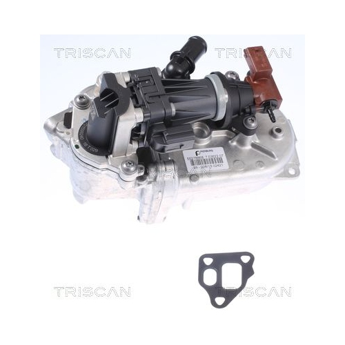 AGR-Ventil TRISCAN 8813 10108 für FIAT LANCIA OPEL VAUXHALL CHEVROLET