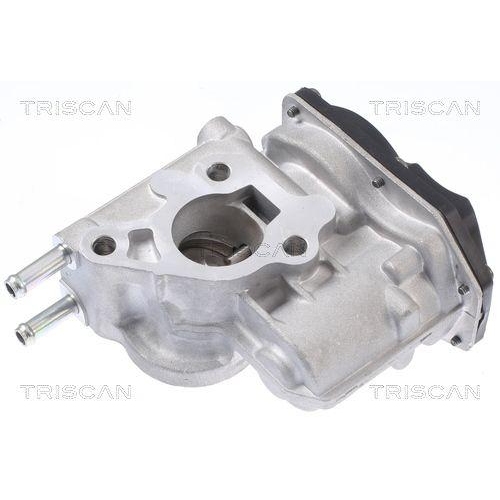 AGR-Ventil TRISCAN 8813 13066 für TOYOTA, oben